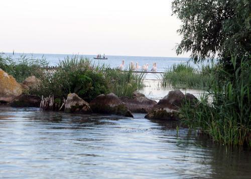 Apartament Dor De Delta Sulina