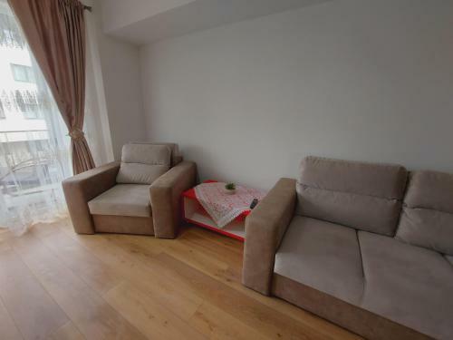 Bucovina Luxury Apartment