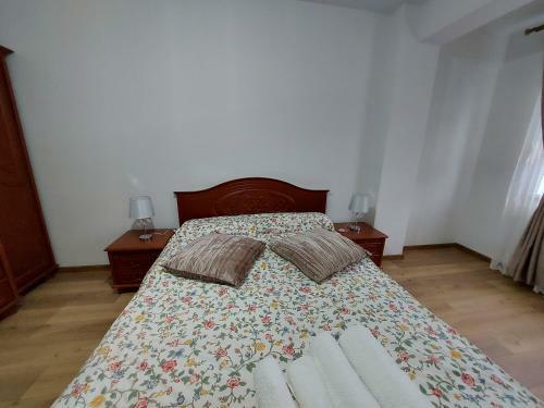 Bucovina Luxury Apartment