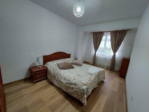 Bucovina Luxury Apartment