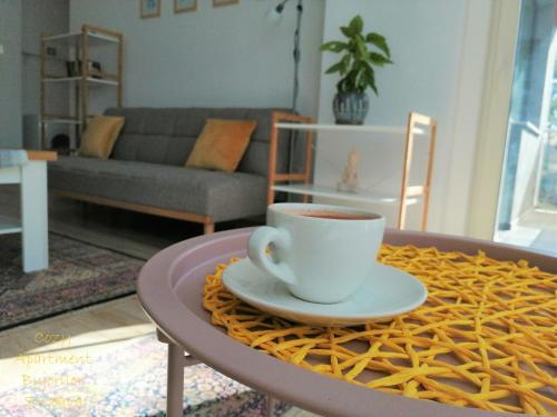 Cozy Apartment Bujorilor Suceava