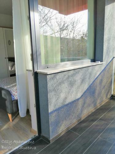Cozy Apartment Bujorilor Suceava