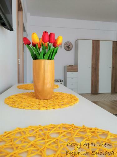 Cozy Apartment Bujorilor Suceava