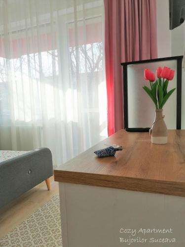 Cozy Apartment Bujorilor Suceava