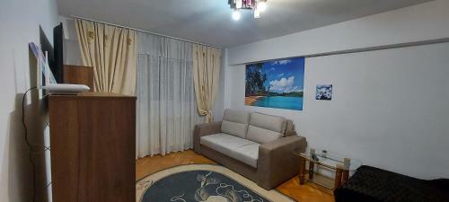 Bucovina Confort Apartament