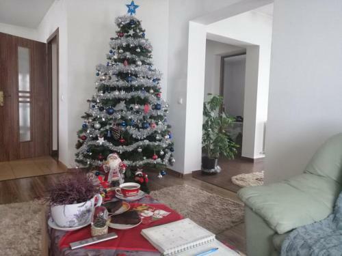 Hostal Casa Dora