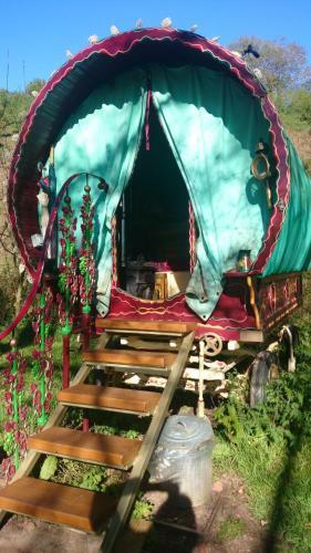 Wriggles Brook Gypsy Wagons