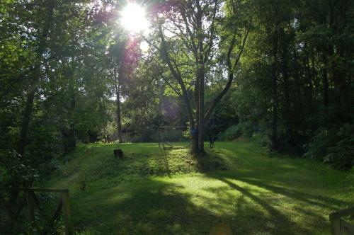 Luxury Woodland Oak Lodge