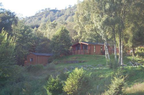 Luxury Woodland Oak Lodge