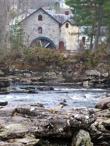 Woodland Spruce Lodge