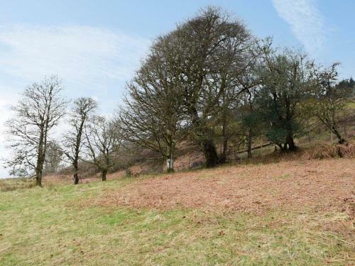 Rowan Cottage - Uk35789