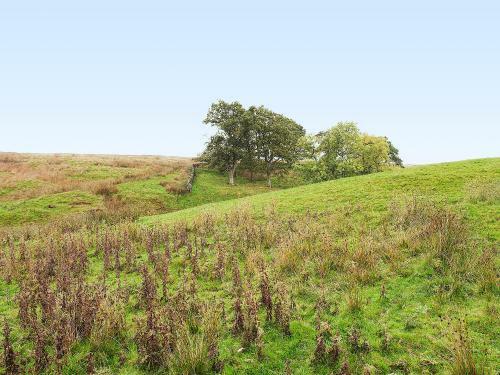 The Old Chapel