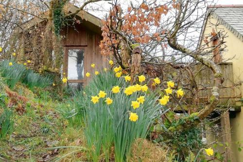 Apartamento Writing Shed Wales
