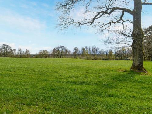 The Tranquil Orchard - Woodpecker-uk31339