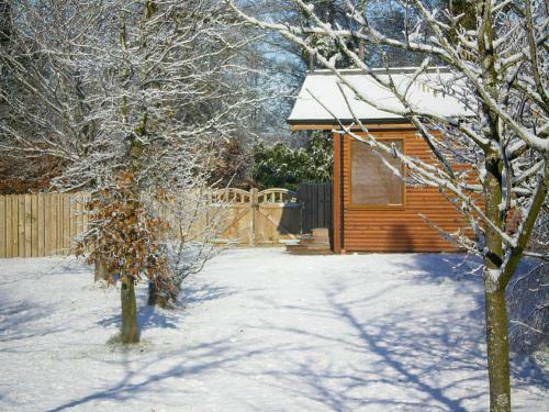 The Tranquil Orchard - Woodpecker-uk31339