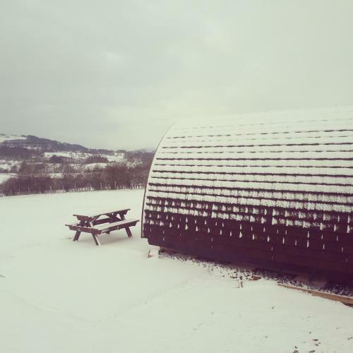 Wensleydale Glamping Pods