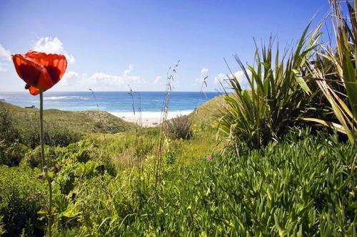 Basking Shark, Studio Cottage With Superb Sea Views By Beach
