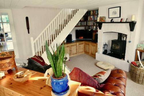 Agroturismo Ivy Cottage