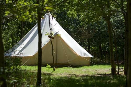 Dorothy Goes Glamping
