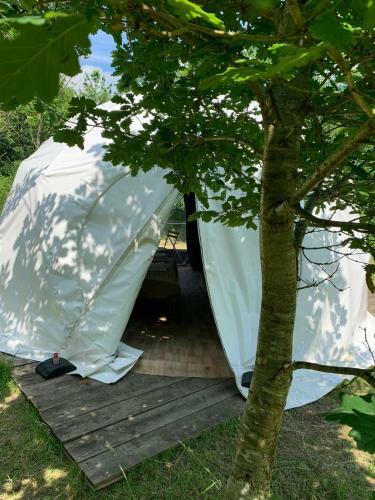 Dorothy Goes Glamping