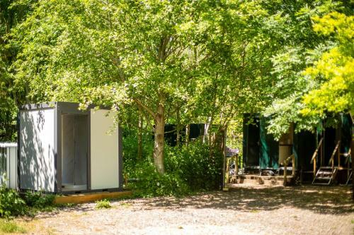 Dorothy Goes Glamping