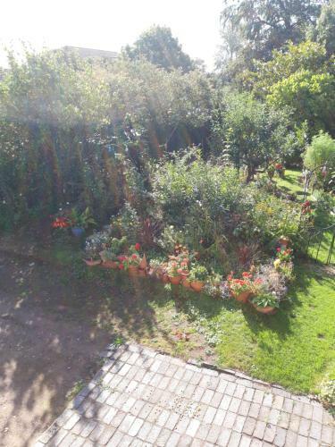 Hostal Rosedale Cottage
