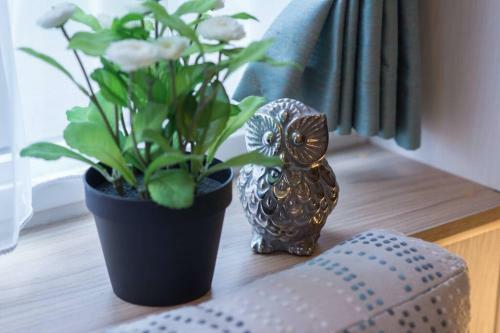Edinburgh - Seton Sands-salsa Caravan-pet Friendly