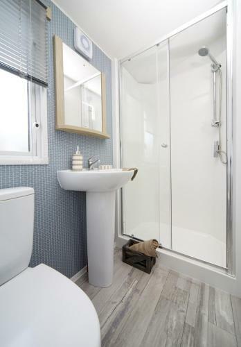 Modern Mobile Home Premium Pitch