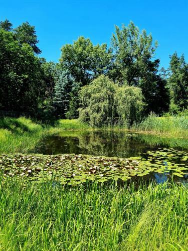 Agroturismo Wrzosowe Siedlisko