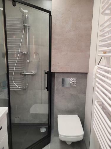 Apartament Pod Radiostacj?