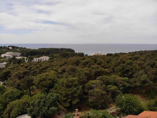 Apartments In Porec/istrien 37216