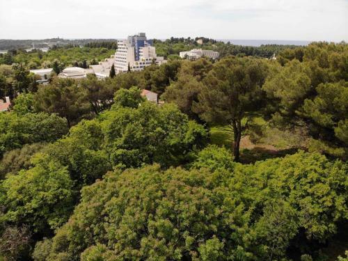 Apartments In Porec/istrien 37216