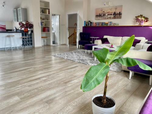 Abaco Luksusowy Apartament Z Si?owni?, Saun?