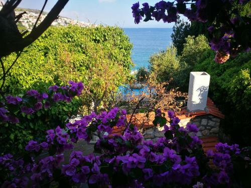Apartamentos Bella Vista Beach House Spa