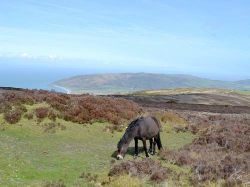 Moorland Retreat