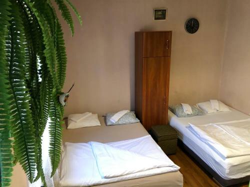 Apartamento Bed4u Grandma's House Late Check In