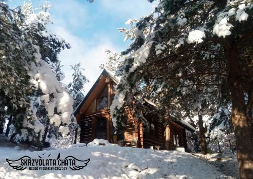 Skrzydlata Chata / Osada Ptosek Bieszczady