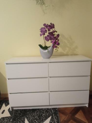 Apartamenty ?r�dmie?cie