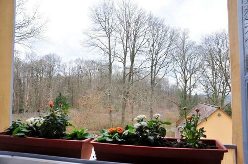 Bed & Breakfast Au Jardin De Lisa