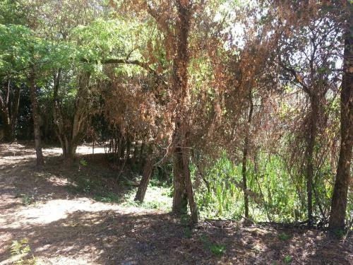 Ch�teau De Champblanc