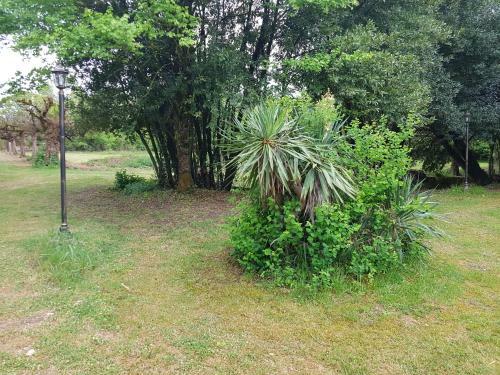 Ch�teau De Champblanc