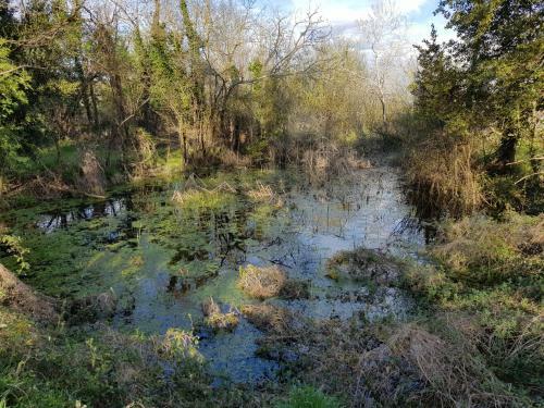 Ch�teau De Champblanc