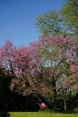 Ch�teau De Champblanc