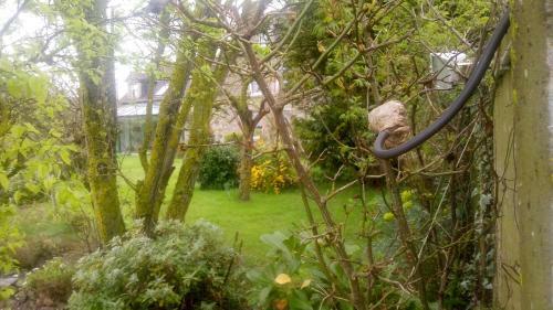 Bed & Breakfast Le Lac