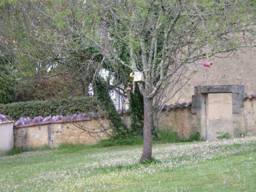 Apartamento L'appart-route Des Thermes