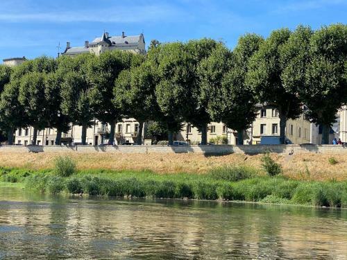Apartamento Le Charles VII Chinon
