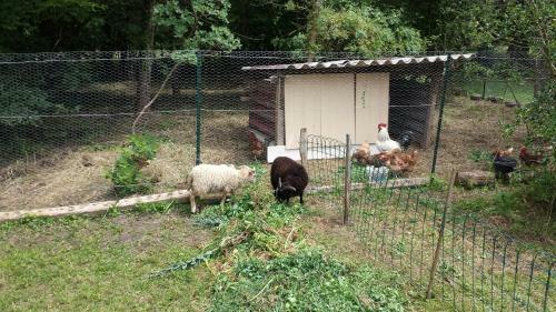 Bed & Breakfast La Petite Marguerite