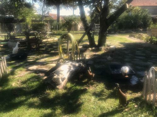 Bed & Breakfast Chez Gustave & Compagnie
