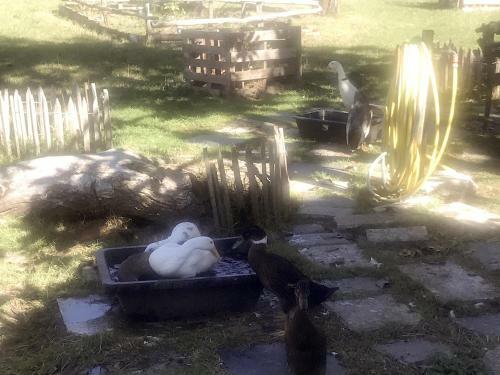Bed & Breakfast Chez Gustave & Compagnie