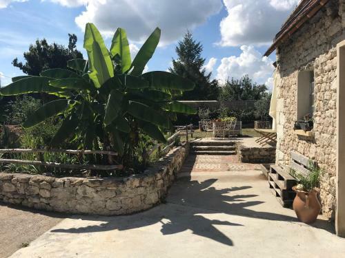 Bed & Breakfast Chez Gustave & Compagnie